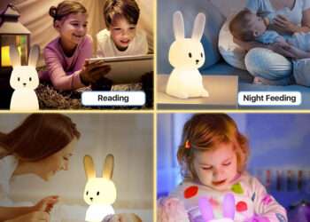 organization at home