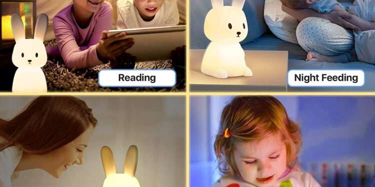 organization at home