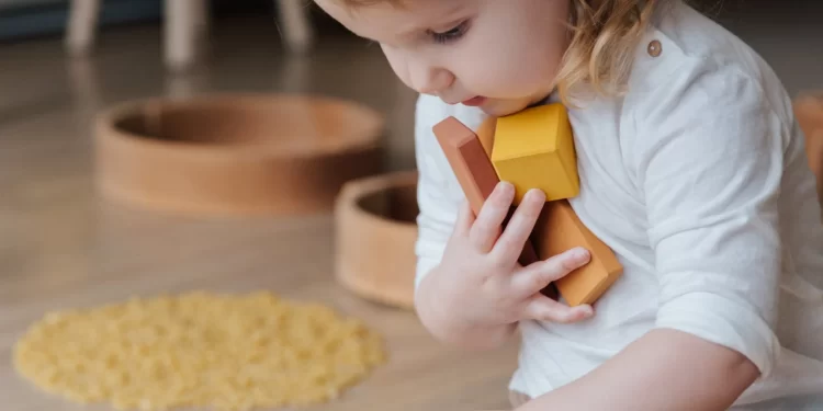 Maintain And Repair Toys