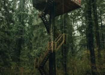 Tree House
